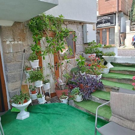 Farlalievi Guest House Созополь Экстерьер фото